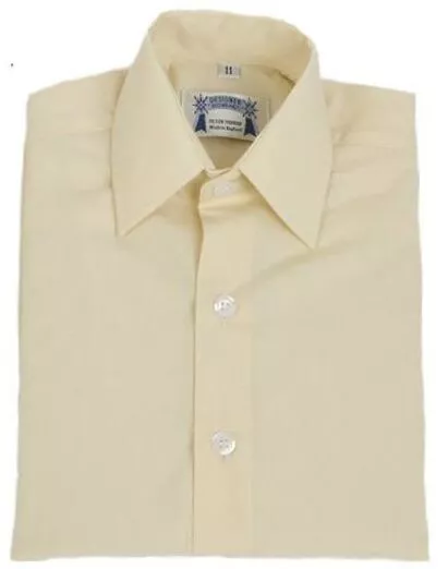 Designer Browbands cream cotton show shirt 13.5" collar
