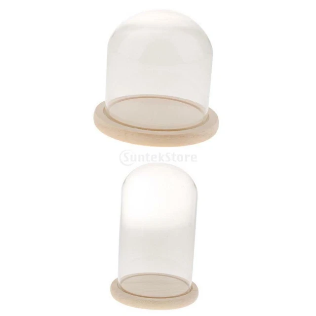 2 Stück Glasglocke Pflanze Blume Mini Fairy Garden Dome Cover Vasen Dekoration