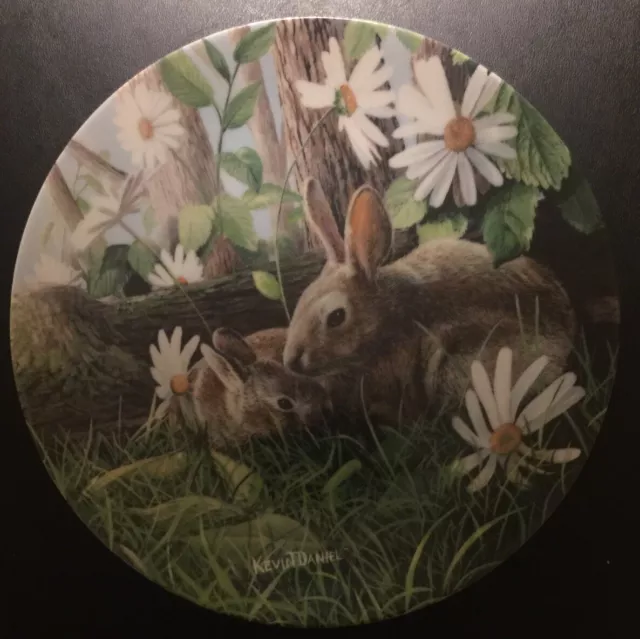 Knowles Collector Plate The Rabbit Friends Of The Forest Kevin Daniel 8.5 Inch