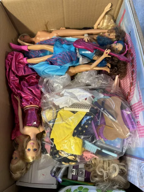 Barbie Konvolut Kiste