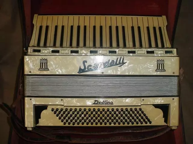 VINTAGE SCANDALLI Delfino ACCORDION  MADE IN ITALY 41 KEYS 120 BASS WITH CASE
