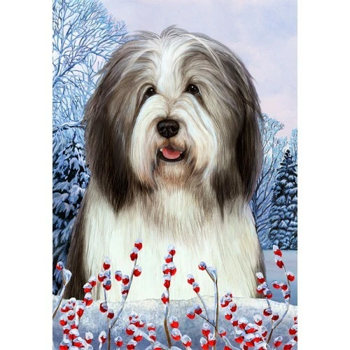 Winter House Flag - Blue and White Bearded Collie 15170