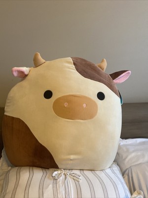 plush vector