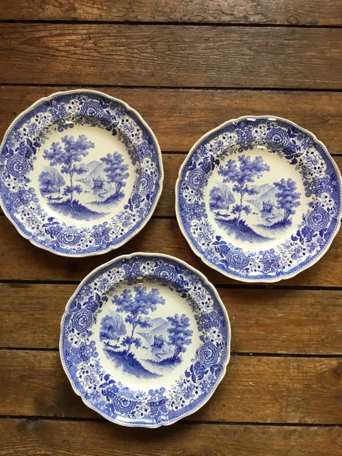 3 assiettes creuses VILLEROY et BOCH  Burgenland 25 cm  barque