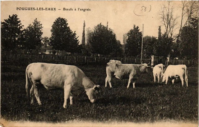 CPA POUGUES-les-EAUX-Boeufs with fertilizer (420849)