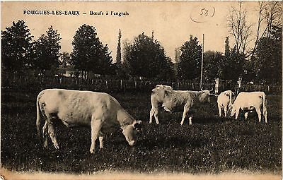 CPA pougues-les-Eaux-oxen has fertilizer (420849)