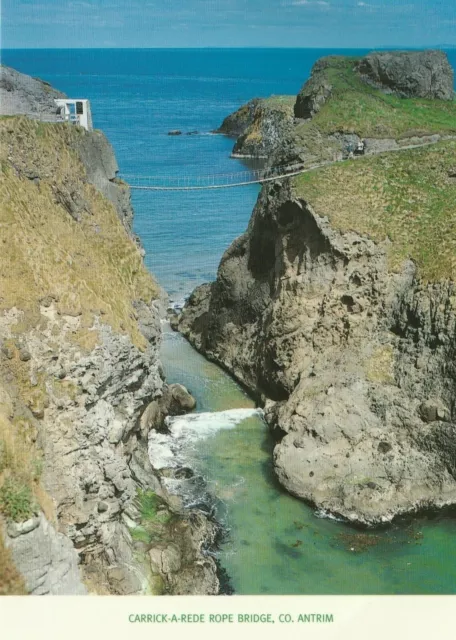 Northern Ireland - Carrick-A-Rede Rope Bridge - Co. Antrim - Postcard