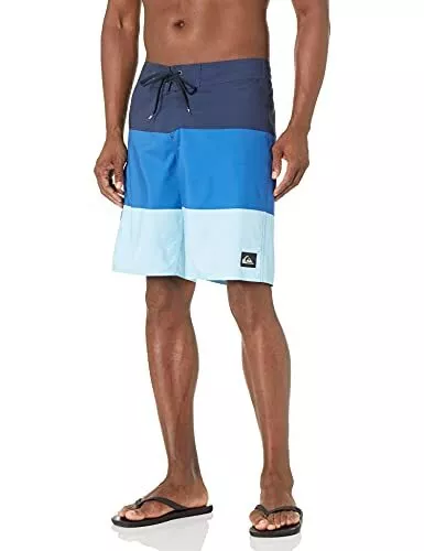 Quiksilver Mens Standard Everyday 21 Board Short Swim Trunk Bathing Suit,