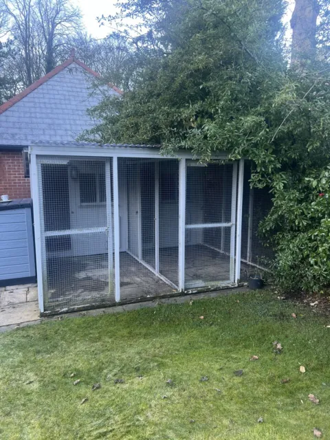 dog kennel and run used