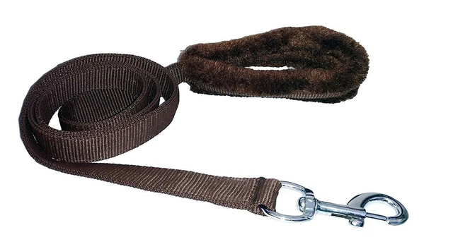 Collar indio de piel de espino y nailon correa para perro (1 pulgada, marrón), cinturón para perro