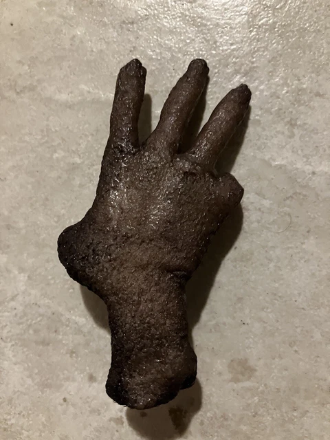 “Cursed” Monkey's Paw / Monkey Hand Prop Replica Hand-Made novelty 3 Wishes Claw