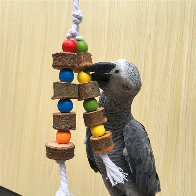 de chaîne de balançoire Fournitures pour oiseaux Jouet d'oiseau Perroquet Jouet