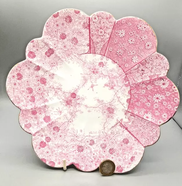 Antique Wileman Foley English Porcelain Daisy Shape Pink Jungle Patt Plate 24cm