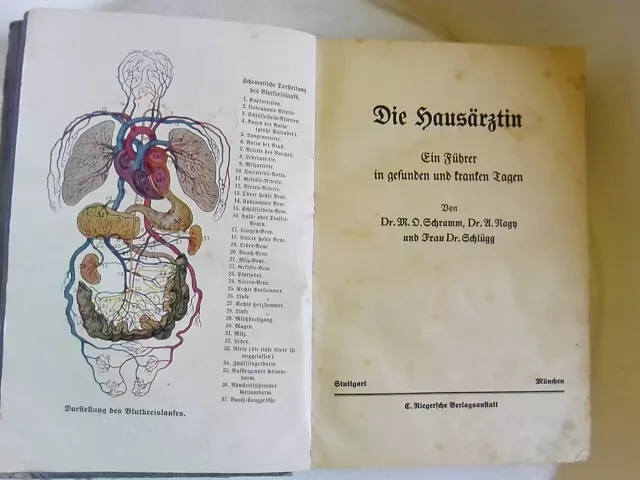 Antikes Buch Medizin - Die Hausärztin - Ausgabe 1911 - Dr. Schramm / Dr. Schlügg 3