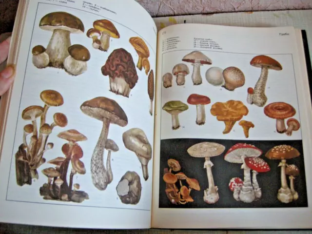 1973 Soviet children's encyclopedia PLANTS AND ANIMAL vol.4 Russian USSR Vintage