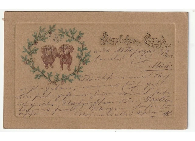 1902 antica cartolina coppia cani bassotto in Rilievo cornice rami abete pigne