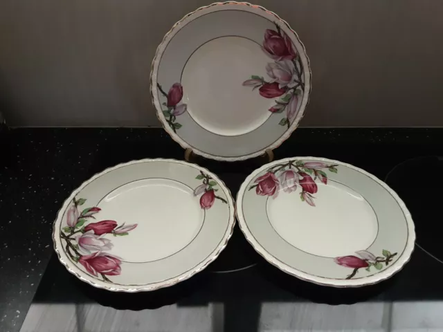 3 Vintage Myott Staffordshire MAGNOLIA Bread & Butter Plates  GVC