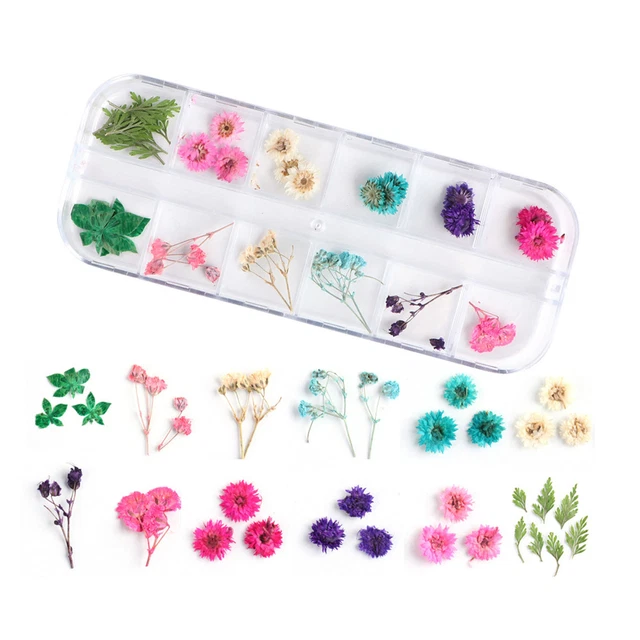 Applique per unghie conservata squisito unico nail art fiori secchi regalo