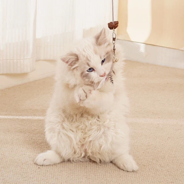 Elastic Rope Cat Food Feeder Feather Cats Leak Food Toy Fun   Self High