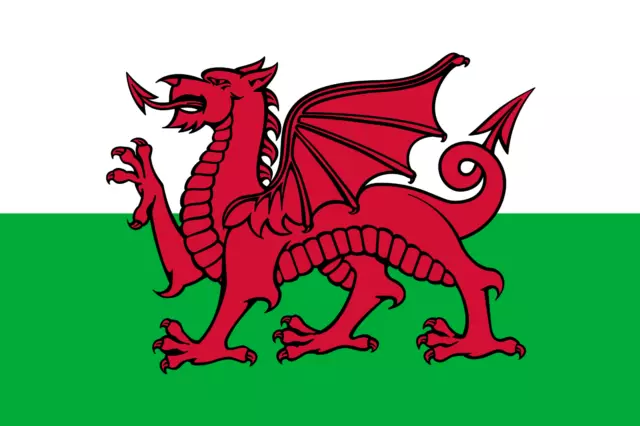 Wales Welsh Dragon Flag 100mm wide Gloss Vinyl Bumper Stickers Decals x2