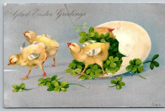 Easter Greetings  Chicks and 4 Leaf Clover   Postcard  1906