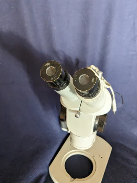 Zeiss Jena, Stereomikroskop SMXX, Mikroskop, mal neu fetten 3