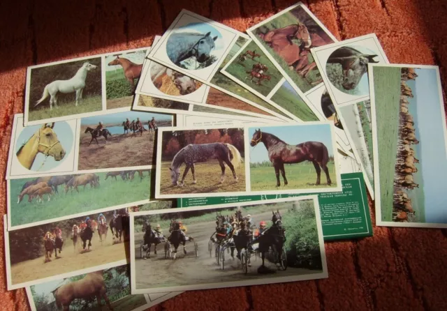 Carte postale Lot Russia Soviet USSR Set of 14 HORSE postcards Cheval