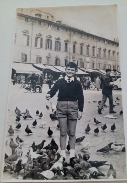 Ferrara fotografica piazza Animata foto Previati   Bella !!