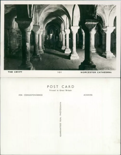 Worcester Cathedral The Crypt 101 Real Photo RP