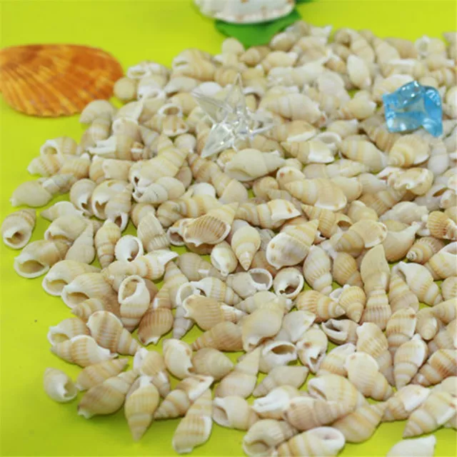 50 pcs Natural Seashells Conch Shells Fish Tank Decor Ornament Crafts 5-10mm