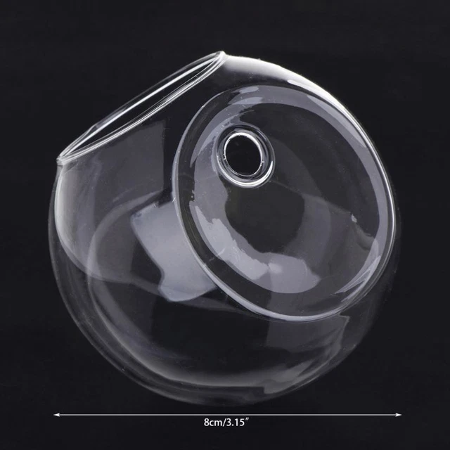 Glass Vase Wall Hydroponic Terrarium Fish Tanks Potted Plant Flower pot