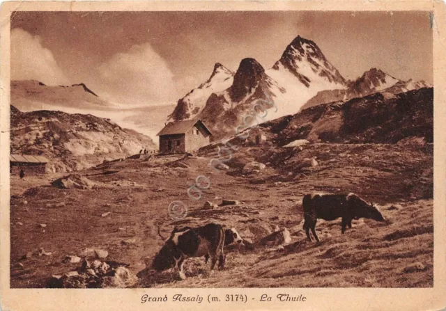Cartolina - Postcard - La Thuile - Grand Assaly - Pascolo - NGV (Aosta)