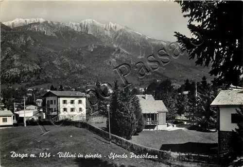 Cartolina di Dorga (Castione della Presolana), villini in pineta - Bergamo, 1964