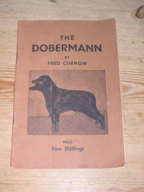 Rare Dobermann Dog Book 1St 1958 By Fred Curnow Rarest Book Doberman Pinscher