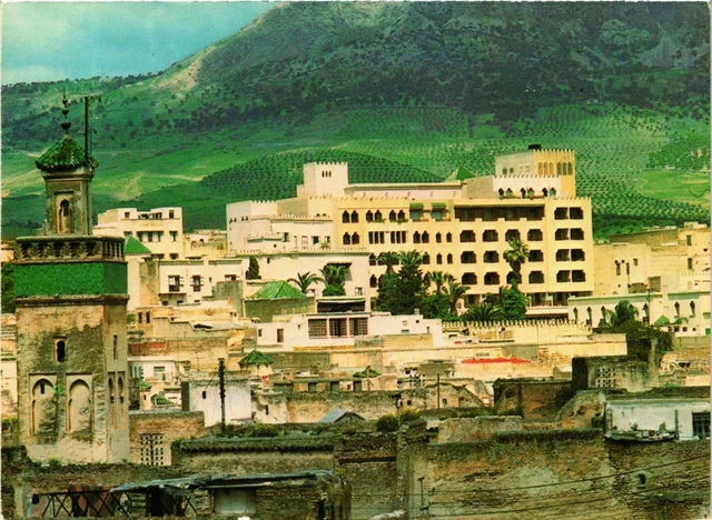 CPM AK Fez - The Jamai Palace in the heart of the medina MOROCCO (880438)