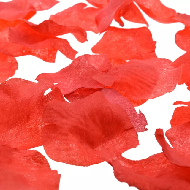 Pack of 200 Ruby Red Organza Wedding Petals - XNB019