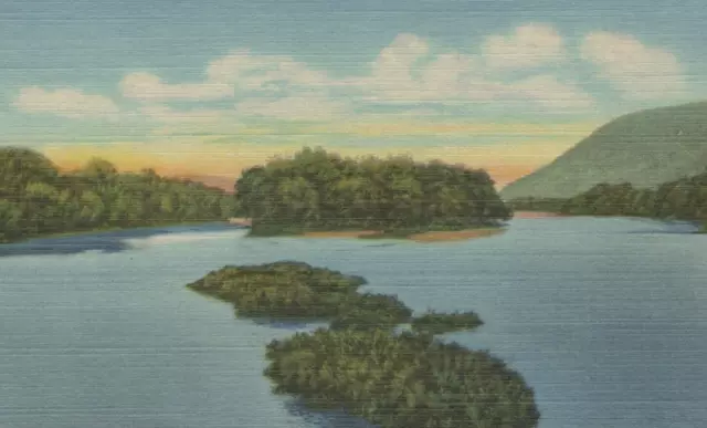 Allegany River & Islands near Salamanca New York Linen Vintage Post Card