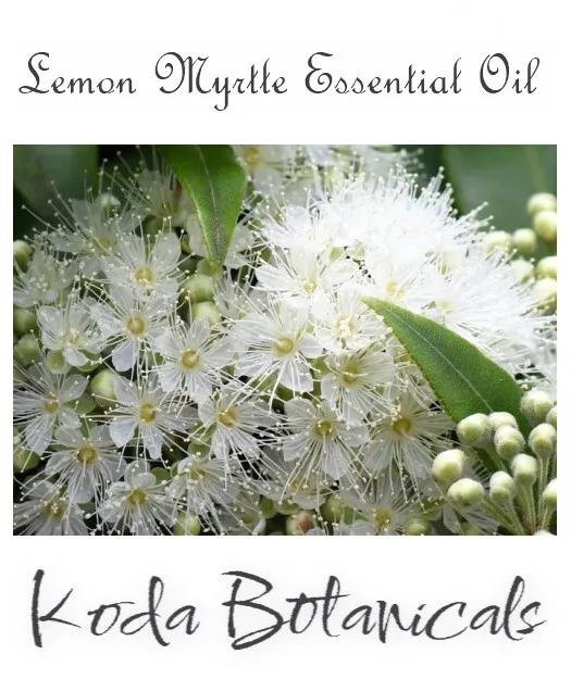 LEMON MYRTLE (Backhousia citriodora - Australian) 100% Pure Essential Oil 10ml