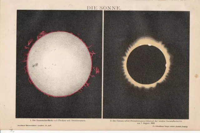 ca 1890 SUN TOTAL SOLAR ECLIPSE SOLAR PROTUBERANCES Antique Print