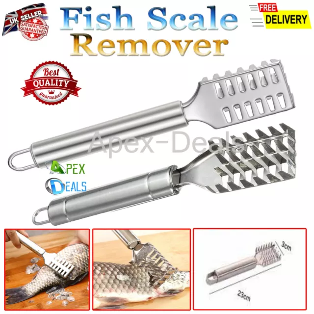 Stainless Steel Fish Scale Remover Scaler Scraper Descaler Home Kitchen Tool New