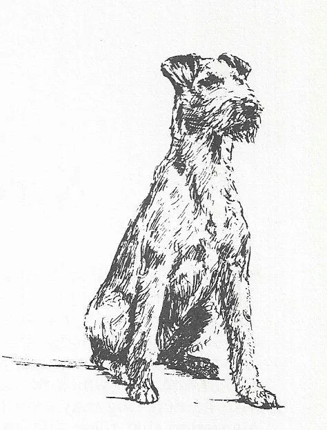 Irish Terrier #2 - CUSTOM MATTED - 1963 Vintage Dog Art Print 0507 CLD