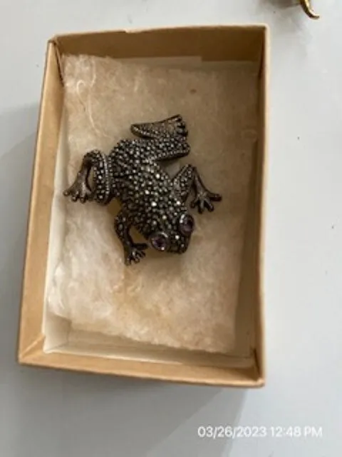 Silver frog pin.  I purchsed and never wore it it is still in box with actual pr