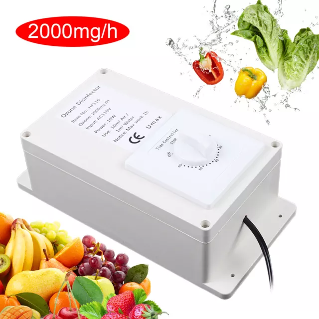 Portable Household 2000 mg/h Air Water Sterilizer Purifier 110V Ozone Generator