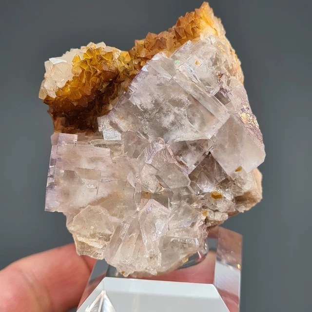 🌈Video💜TOP Kabinettstufe Fluorit Kristalle auf Quarz Grube Clara Schwarzwald💎