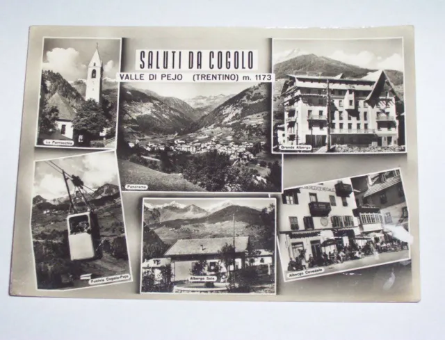 Cartolina Cogolo ( Valle di Pejo)- Vedute diverse 1963