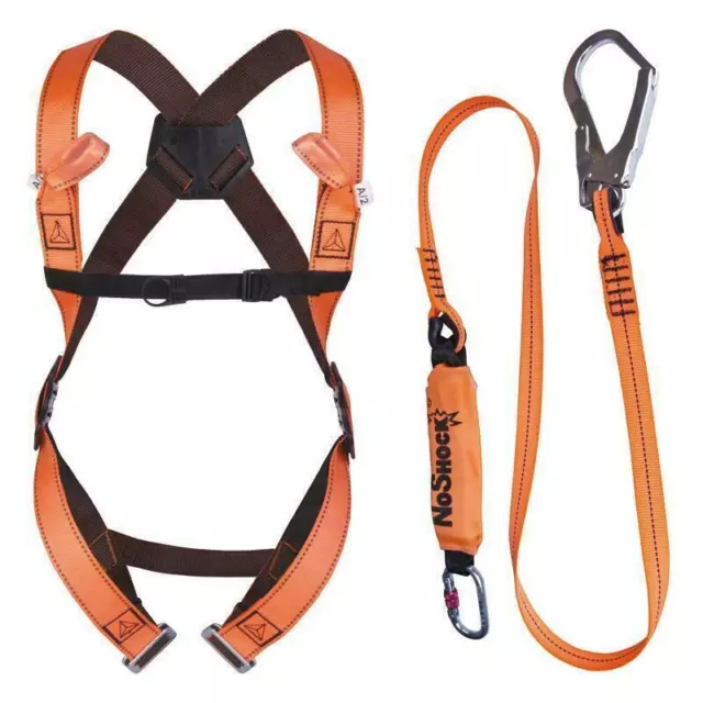 Delta Plus ELARA190 safety harness with scaffold lanyard fall arrest kit