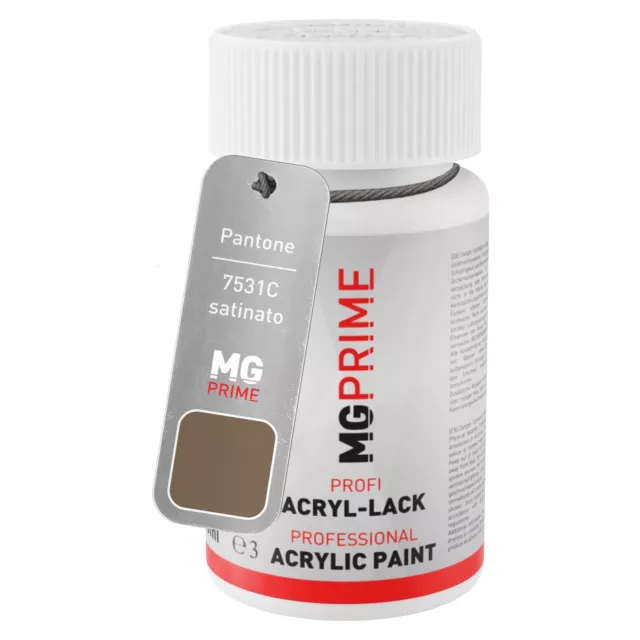 Pantone 7531C Brown satinato Stilo di ritocco da 50 ml ad asciugatura rapida