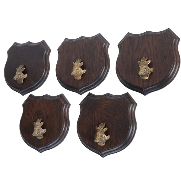 5x Wappenschilder Jabalí Af 17cm Escudo de Trofeo Jabalí Cabeza Portada Pequeño