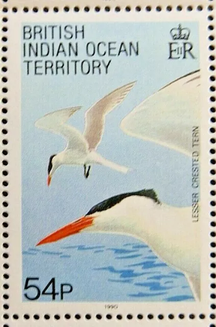 BRITISH INDIAN OCEAN TERRITORY 1990 SG97 54p. BIRDS - LESSER CRESTED TERN -  MNH