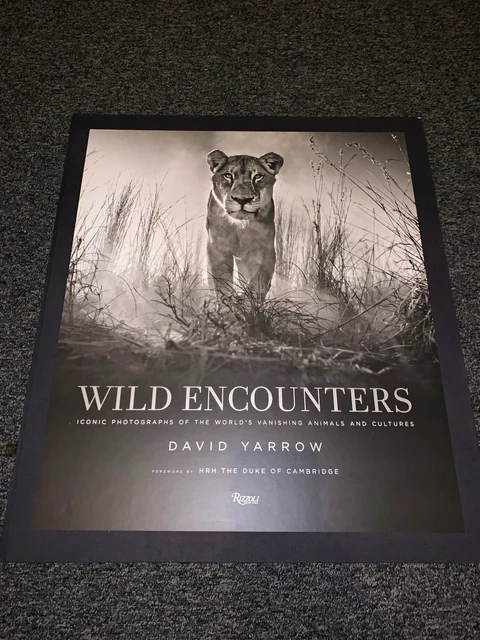 WILD ENCOUNTERS DAVID yarrow deluxe rare book only 500 made WILD ENCOUNTERS DAVID yarrow deluxe rare book only 500 made